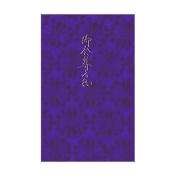 紫菊花